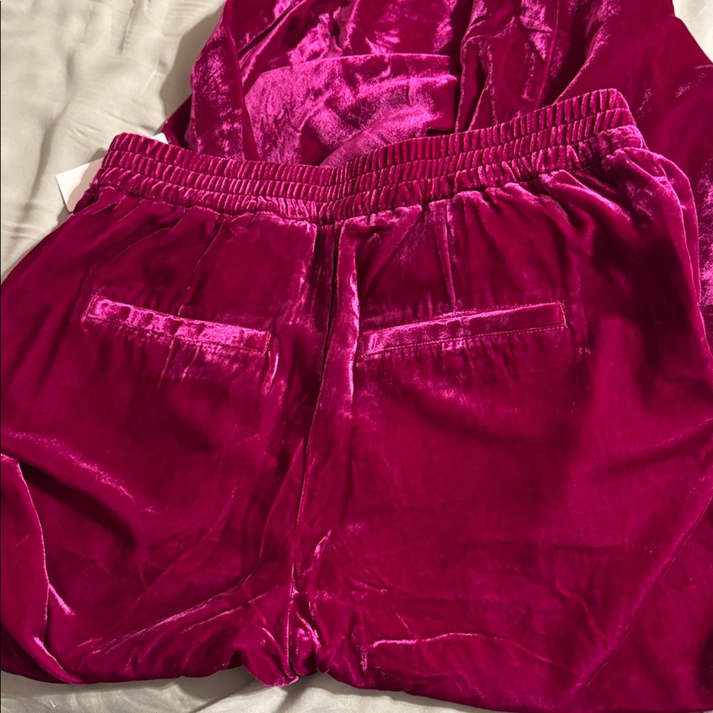 ✨ Anthropologie Wide-Leg Velvet Pants Sz S - Picture 7 of 7